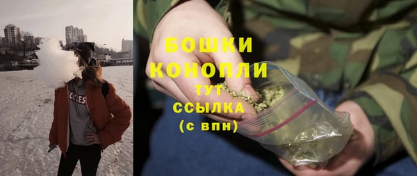 соль ск Арсеньев