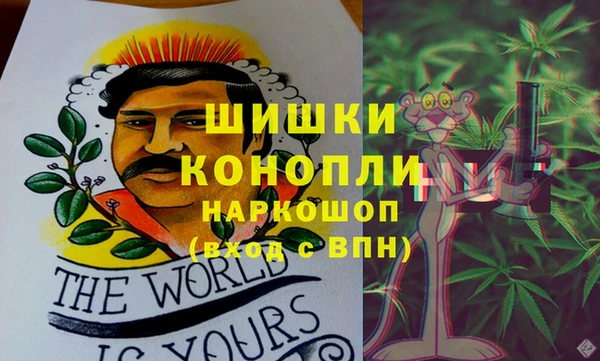 соль ск Арсеньев