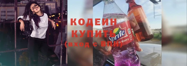 соль ск Арсеньев