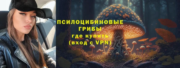 соль ск Арсеньев