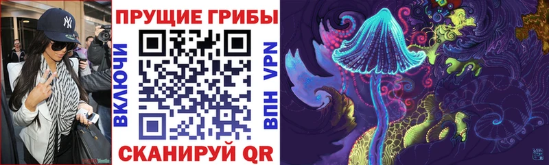 KRAKEN ССЫЛКА  Родники  Галлюциногенные грибы Cubensis 