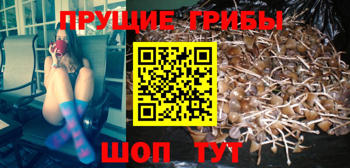 Гашиш  ГАШИШ  COCAIN  NBOMe  A PVP СК   Родники  Вход с VPN  Меф   Бошки Шишки  Цена 
