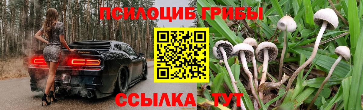 Родники  Галлюциногенные грибы мицелий  как найти   Вход с VPN 